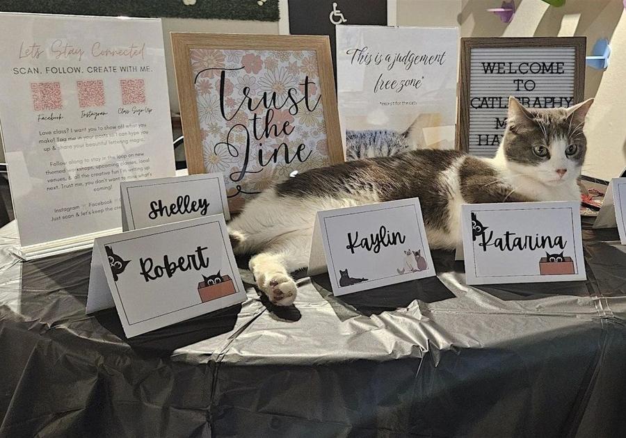 Calligraphy class table with cats